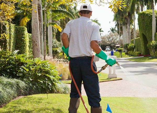 About Coupon PA Pest Control Pros